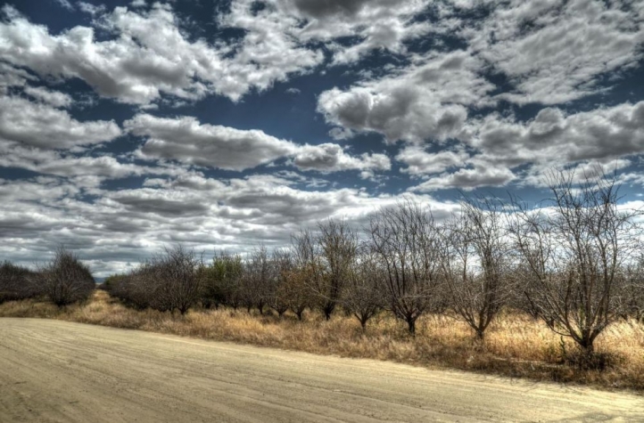 CainDe-Gas-Station-View-Pho-16x20-JurorCh