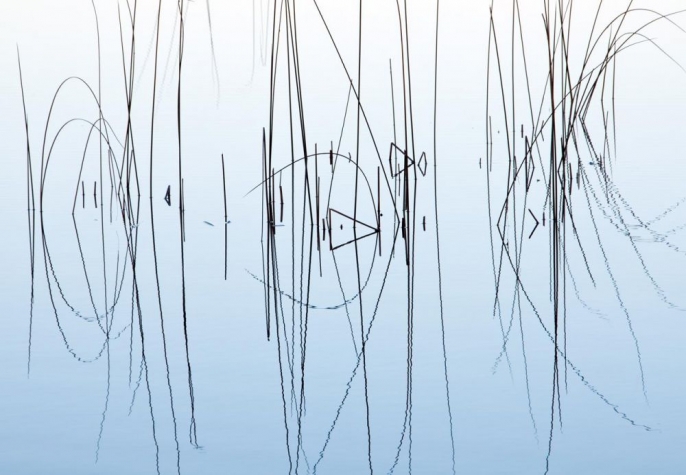 KibreCh-Reeds-Reflected_Photo_17x21