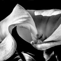 MartinezBe-Affection_Photo_16x20