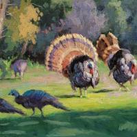 LoSa-Turkeys-in-My-Neighborhood_1