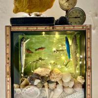 BochatVi-Embracingthefishbowl-230329135603_1