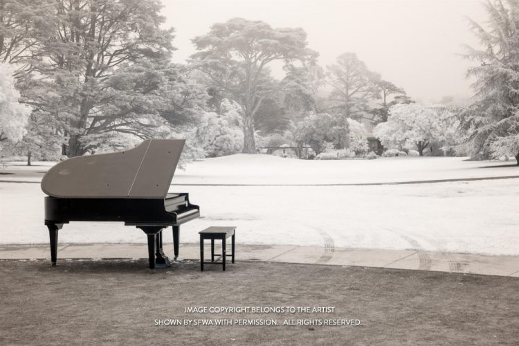 JacobusCa_Waiting-BotanicalGardensInfrared_Photo_18x24