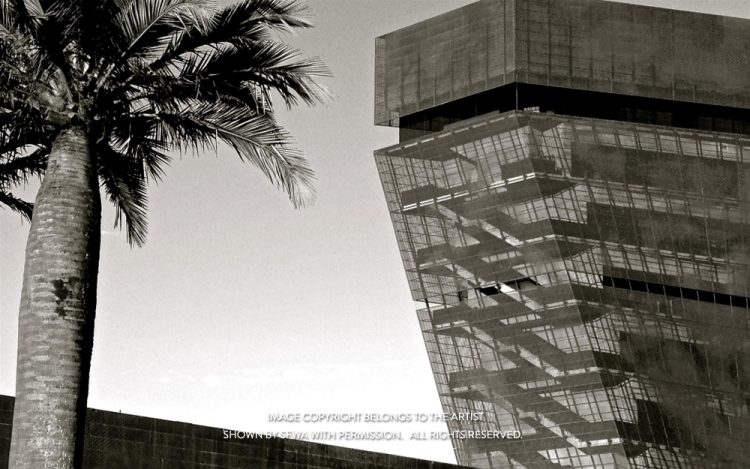 GaillouxKe_deYoungHarmonObservationTower_Photo_6x6