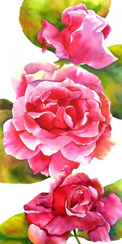 FalkardJa-Rose-Garden_1