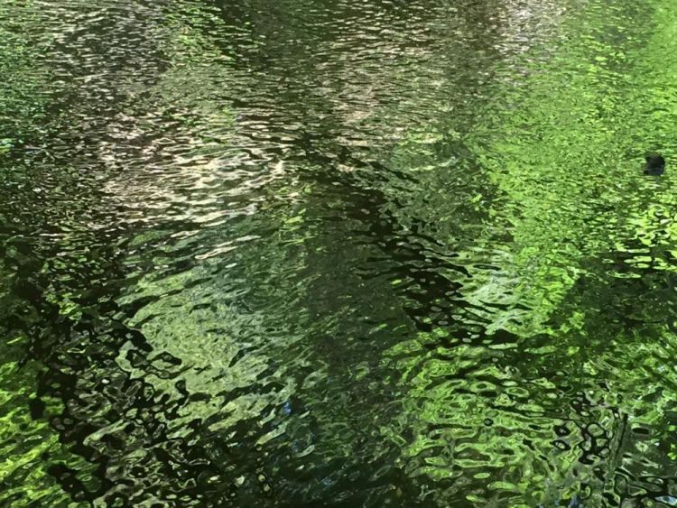 FontaineMichaelLagunitasCreekReflectionsPhot-21x17