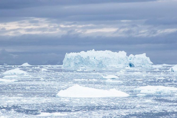 LocherDo_AntarticIcebergPhot18x24
