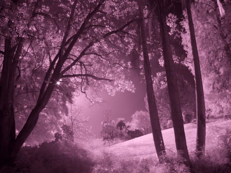 MuleyTheresa-Paradise-Photo20x24