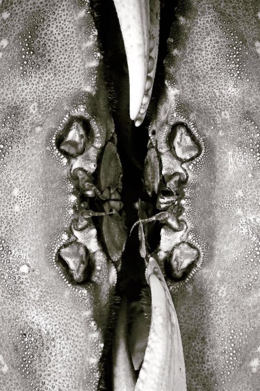 WelchKa_Cancer-pho25x19
