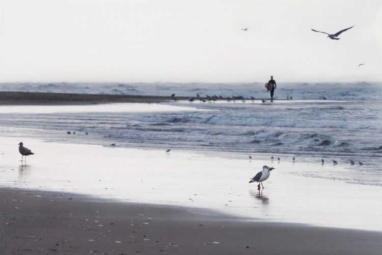 AllenLe-Ocean-Beach-at-PachecoPhot-12x18