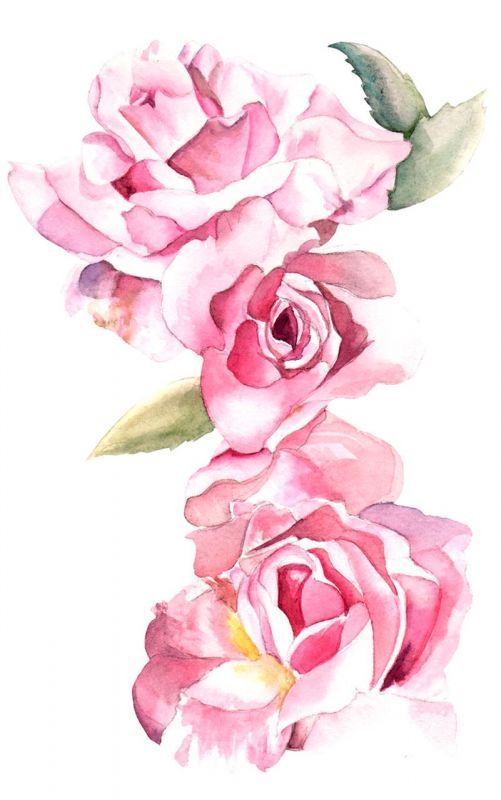 FalkardJa_Rosebuds_WC_14x11
