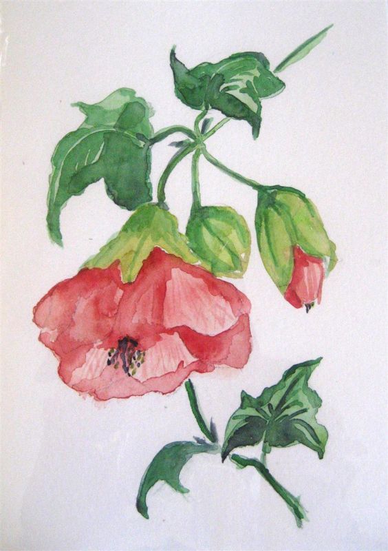 RuaneSu_Red_WC_11x9