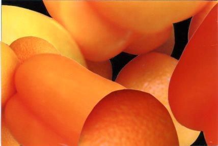 SchafranRu_Oranges-with-Peppers_MM_10x12