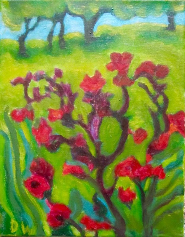 WeintraubDo_Red-Poppies-in-Golden-Gate-Park_Acr_14x11