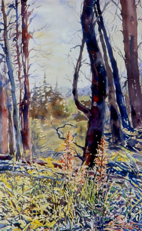 weissid_sequoiaautumncolor_wc_28x21