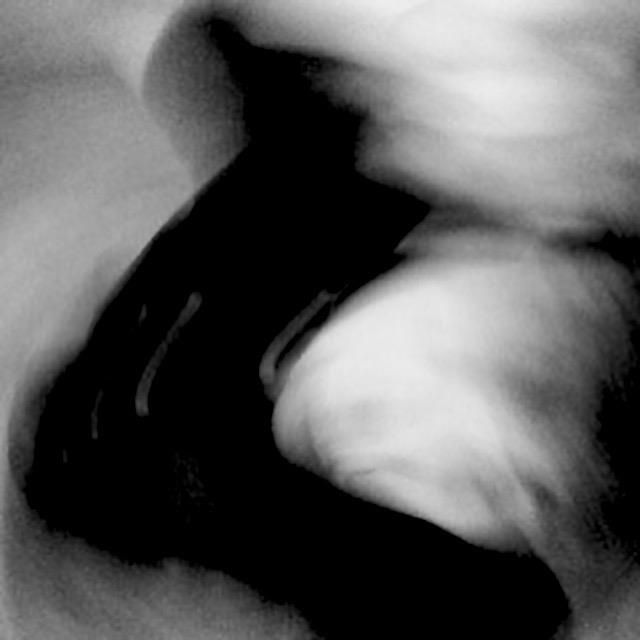 WelchKa_Stop-it_Photo_12.5x12.5
