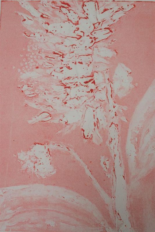 CampbellBarbara_In-The-Wind_Print_18x15