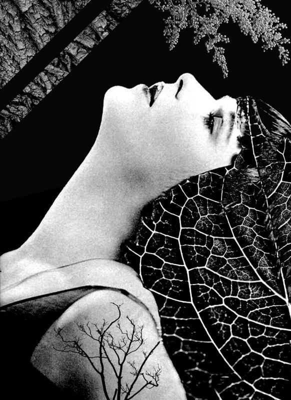 MagraneCamila_Swan-Woman_Photo_10x8