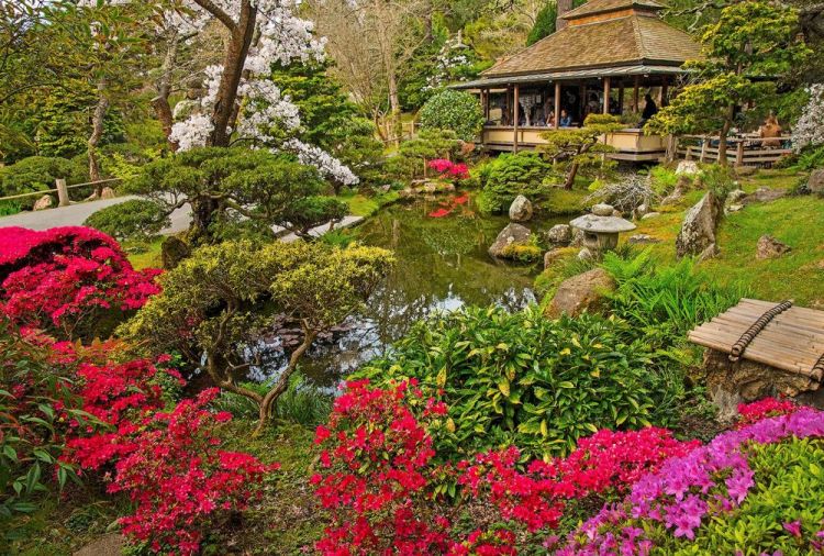McGarrahDan-JAPANESETEAGARDEN_Photo_24x36