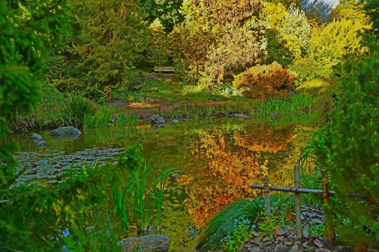 McGarrahDan_BOTANICALGARDENPOND_Photo_20x30