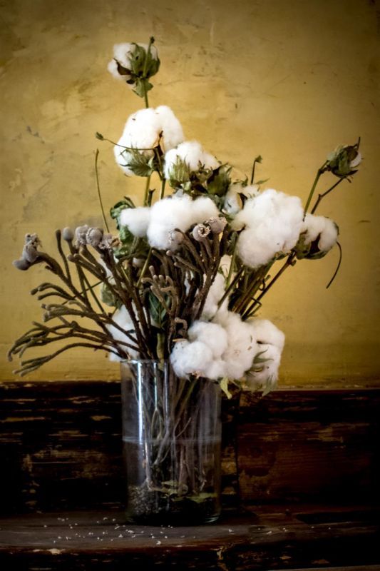 ShinnWendell_Still-Life-No3_Photo_17x13
