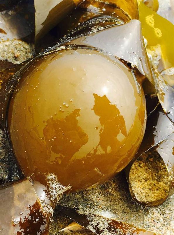 HoefgenJi-ORB-REFLECTION_PhotoArt_18x14