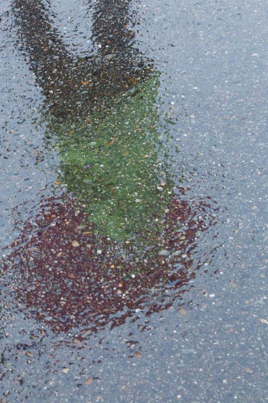 JacobusCa-Rainy-Day-Colors_Photo_24x18