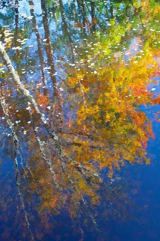 KayCh-Fall-Reflections_PhotoArt_20x16