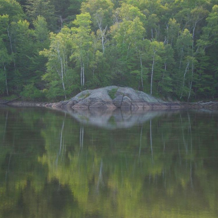 NewmanMe-Morning-at-Big-Rock_Photo_16x20