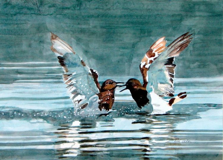 SklarRi-Black-Turnstones_WC_24x30