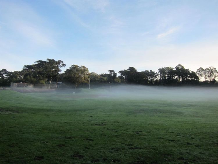 KimEu_Foggy-Field_Photo_9x12