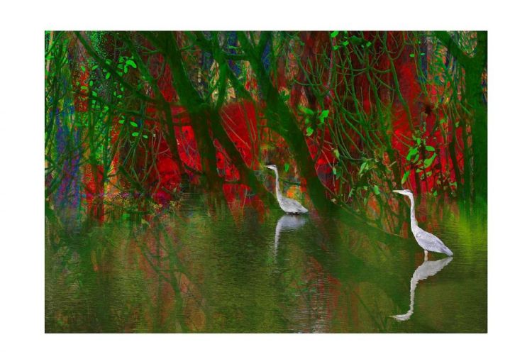 SchleckerRo_Tranquility_PhotoArt_16x20
