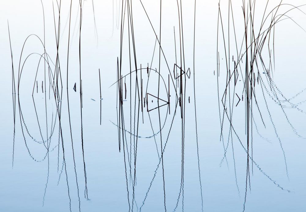KibreCh-Reeds-Reflected_Photo_17x21