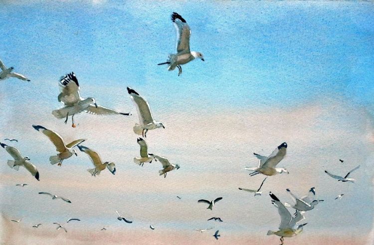 SklarRi-Gulls-in-Flight_WC24x30