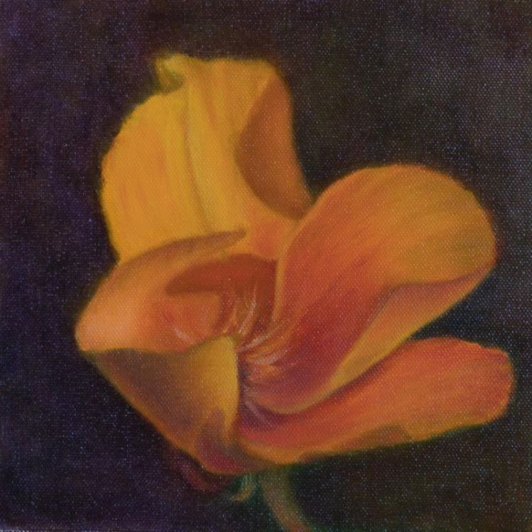 Paris-SeubertMi-Orange-Poppy_Oil_9.25x9.25