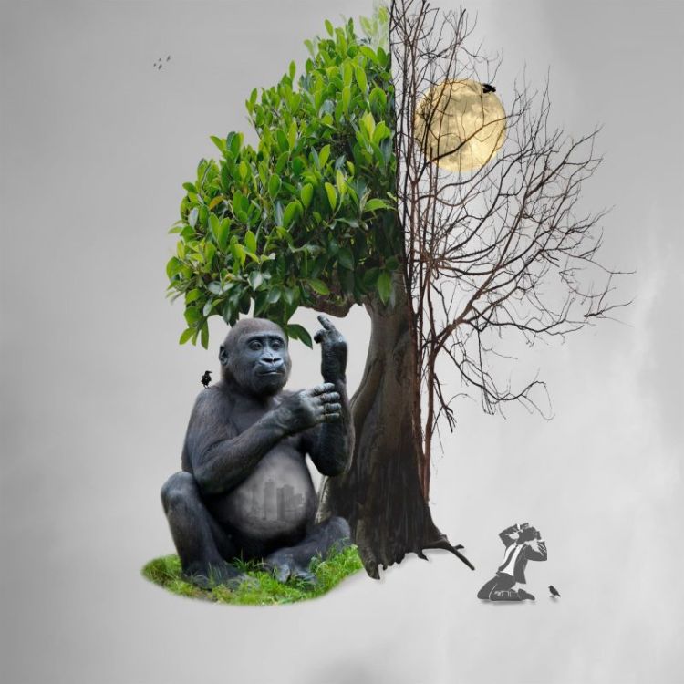 ShinnWe-Endangered-2_PhotoArt_12x12