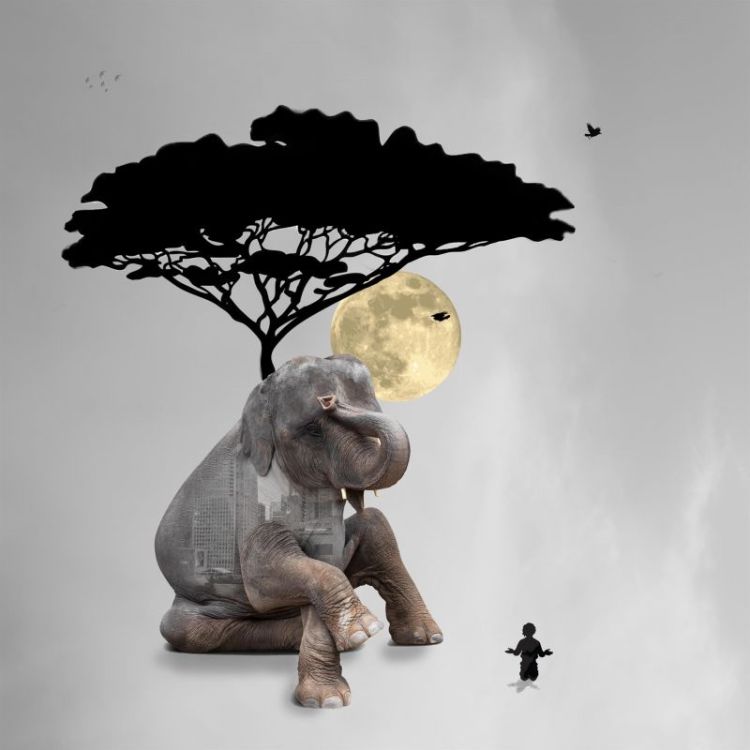 ShinnWe-Endangered-3_PhotoArt_12x12