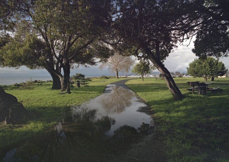LandisBa-Reflecting-walkways_Photo_20x24