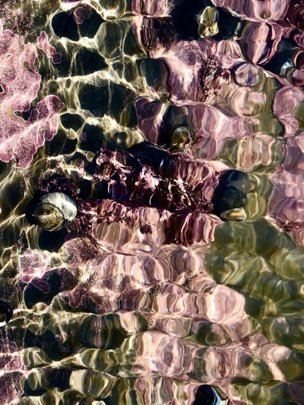 1_BarensNi-Tidepool-Jewels_1