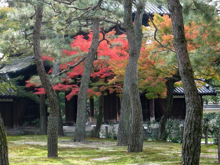 1_Lubanski-WengerBa-Temple-Trees-in-Autumn_1