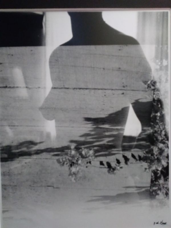 1_mcguirepa-nude-and-fence_1
