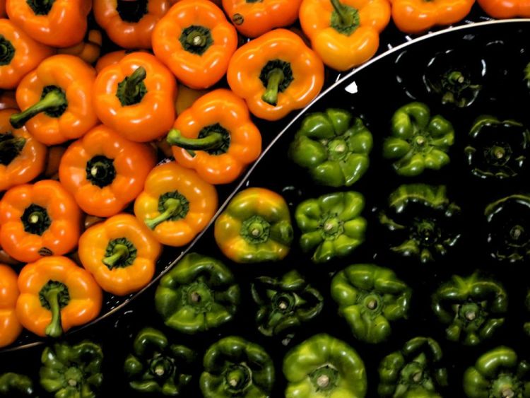 VanZandtVi-Peppers_Photo_21x27