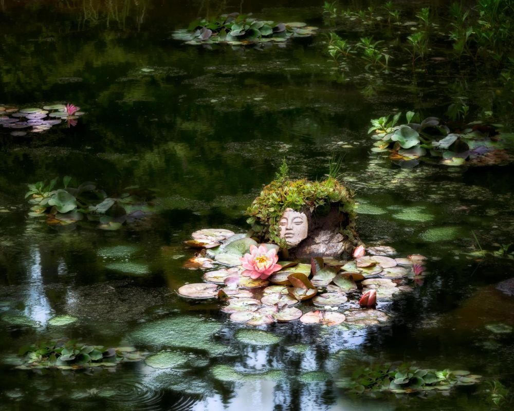 BorrelliPa-Botanical-garden-Pond_Photo_18x24