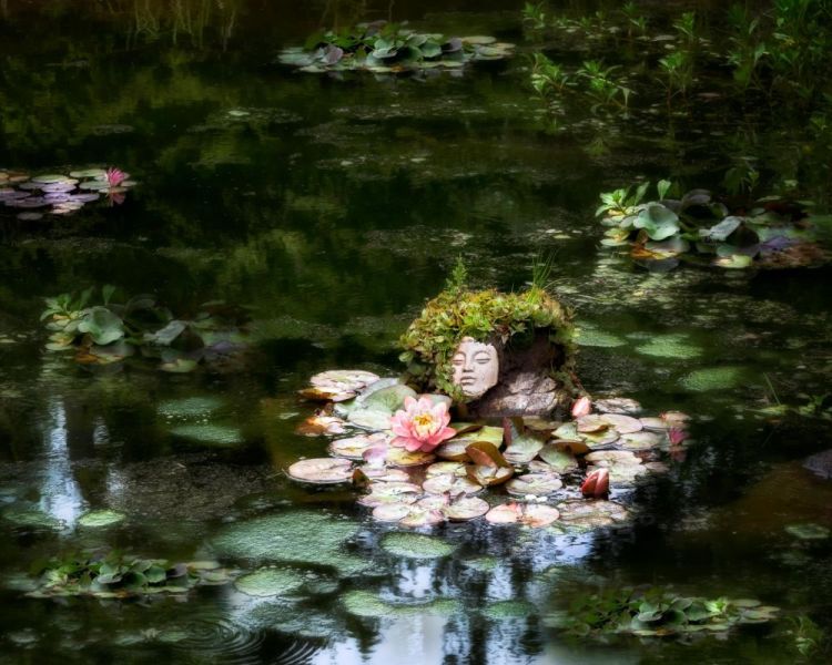 BorrelliPa-Botanical-garden-Pond_Photo_18x24