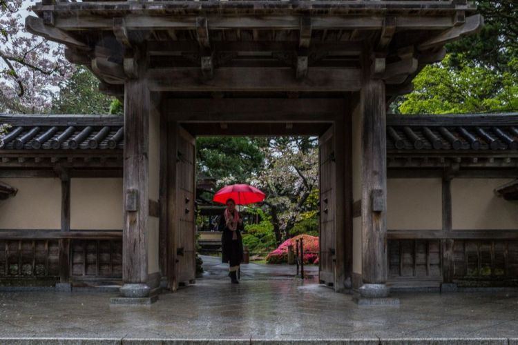 JacobusCa-Red-Umbrella_Photo_18x24