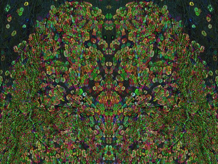 EndicottMi-Azteca Ubiquity-Series_Photo_30x40