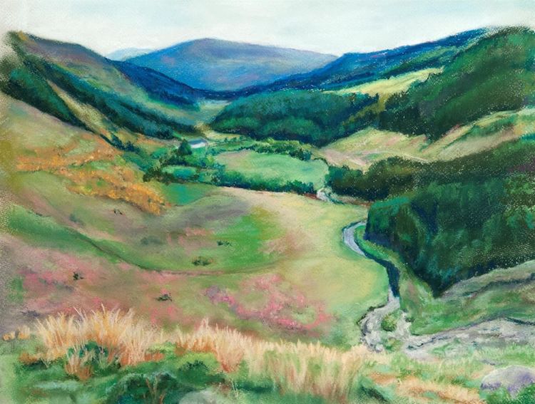 GrossKa-Sally-Gap-Ireland_Draw_18x24