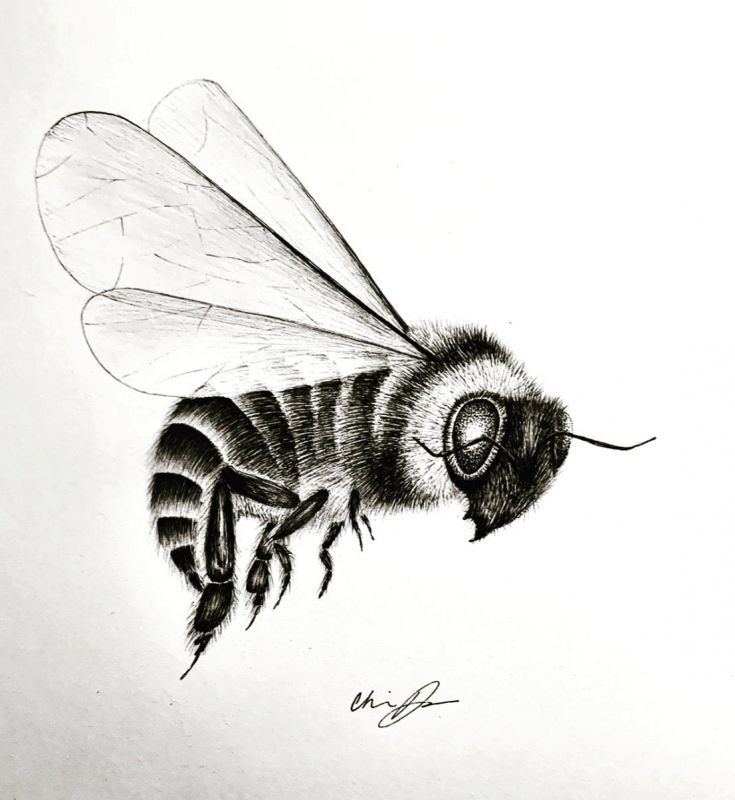 ReynaCh-Worker-Bee_PenInk_18x14
