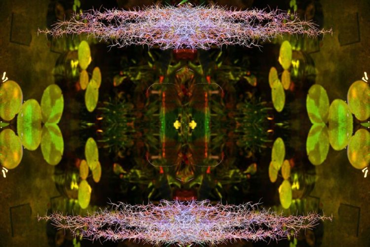 CainDe-My-Meditation_1