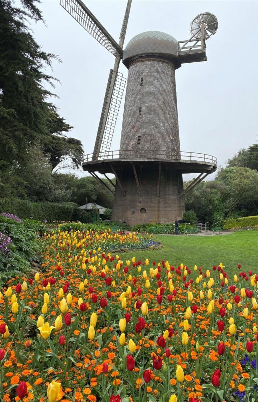 DarlingCy-Dutch-Windmill_1