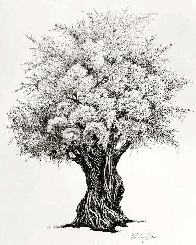 ReynaCh-Olive-Tree_1